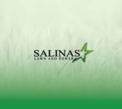 Guadalupe Salinas