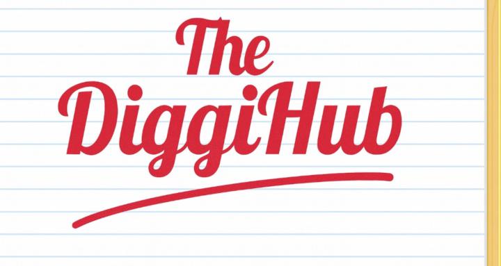 The Diggi Hub