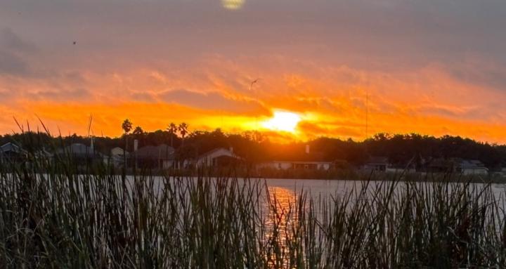 Light'N Up Community