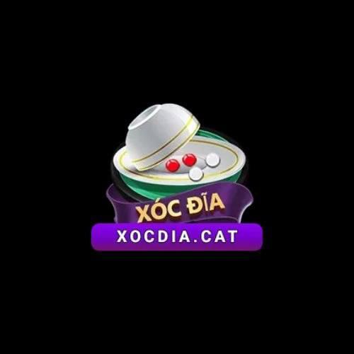 Xocdia Cat