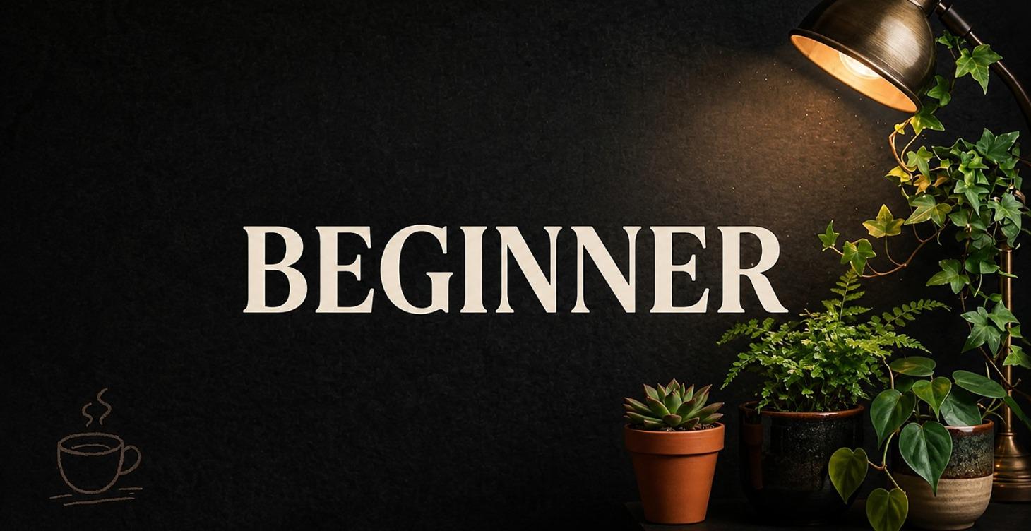 Beginner