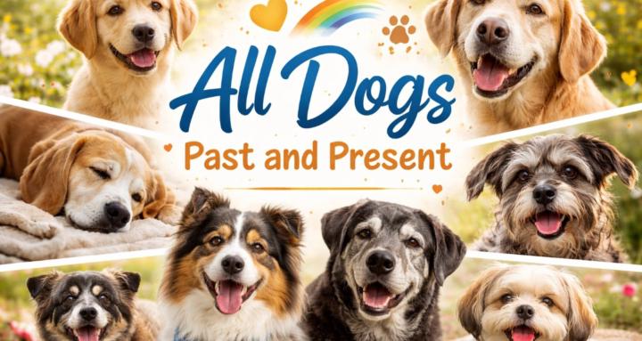 All Dogs Past And Present