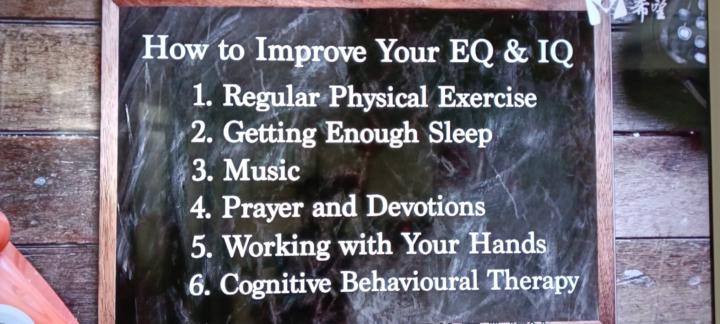 【人體科學】解密大腦雙引擎：如何完美提升 IQ 與 EQ？