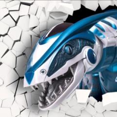 Raptor Bot