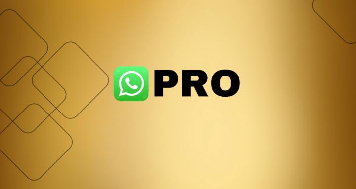 WhatsApp Marketing Pro