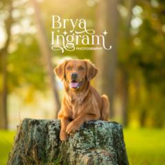Brya Ingram