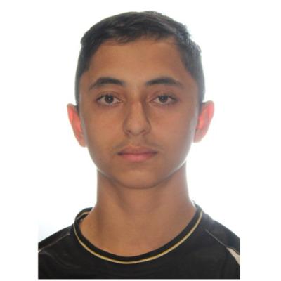 Mustafa Safi