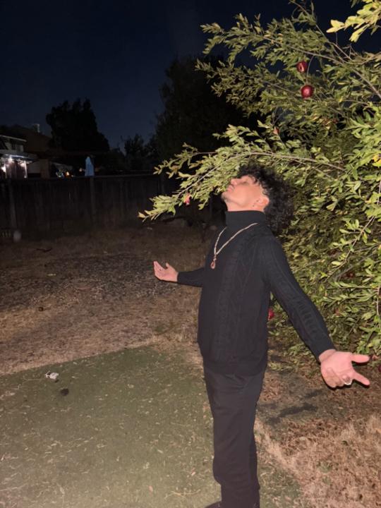 Kalaheo Aikala Pornelos