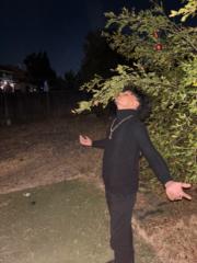 Kalaheo Aikala Pornelos