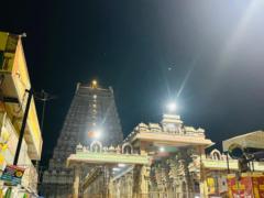 Prasad K n