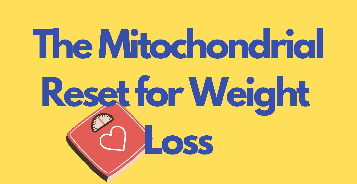 The Mitochondrial Reset for Weight Loss ⚖️ Free