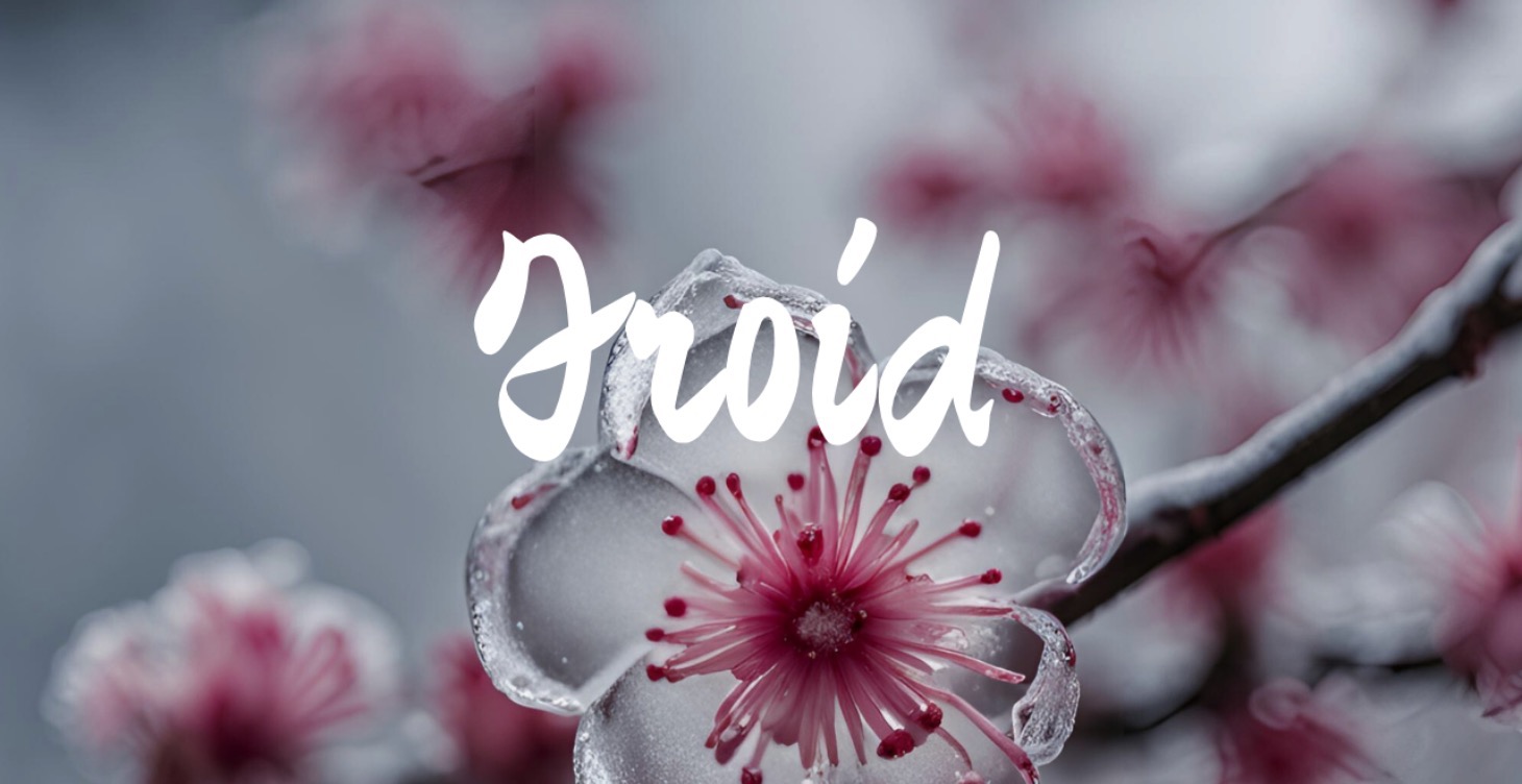 Froid