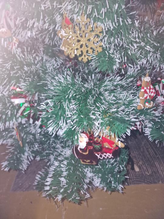 Feeling festive 🎄 