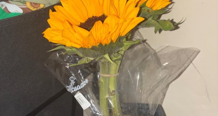 Real Ones Move In Silence