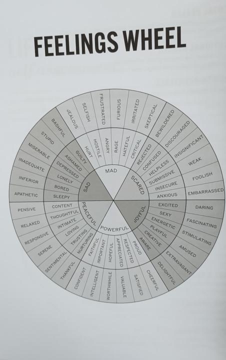 Feelings Wheel