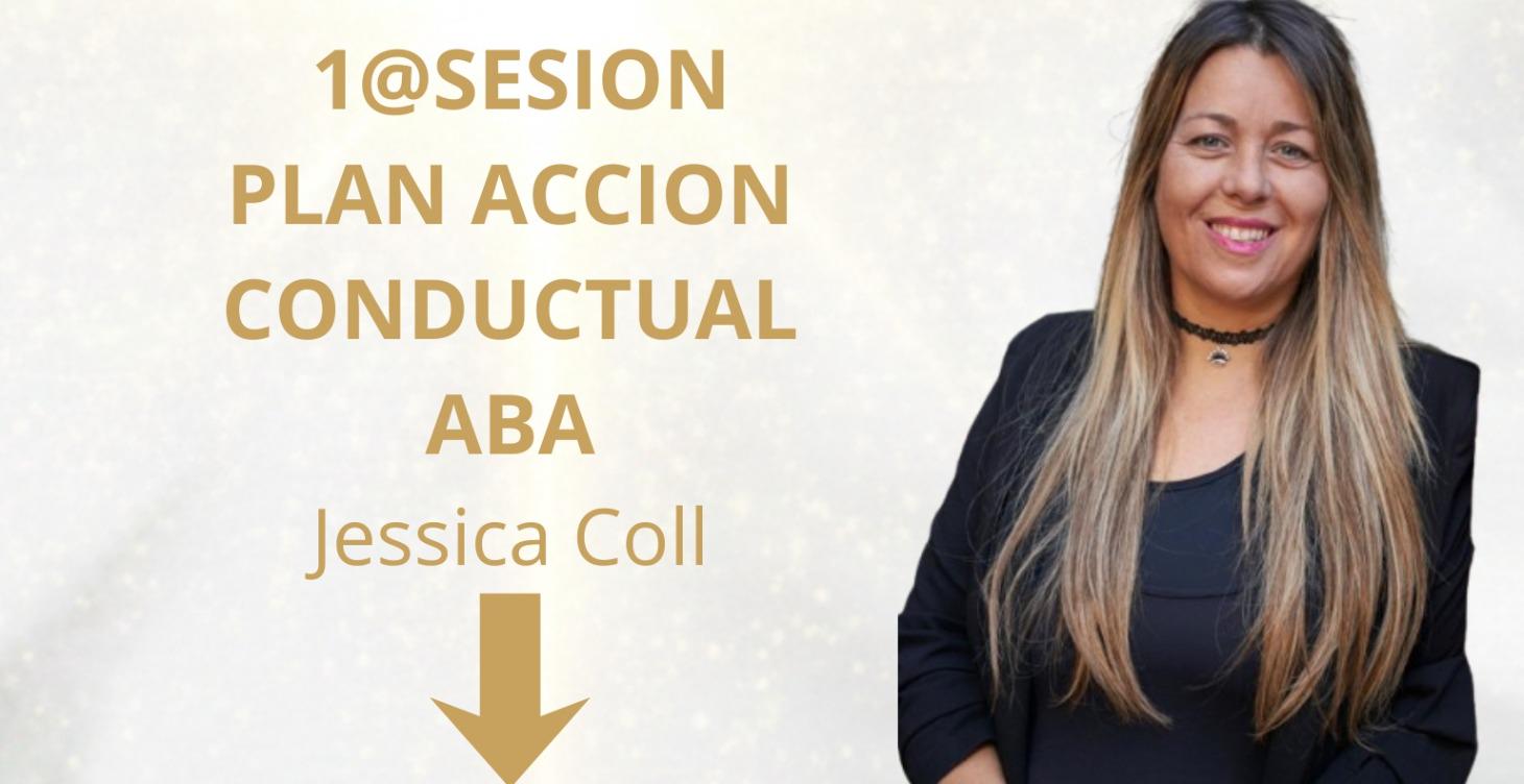 SESION ABORDAJE CONDUCTUAL -PLAN DE ACCIÓN