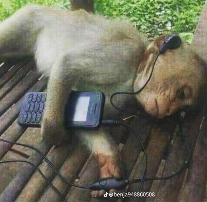 Sergi Fernández Liria