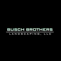 Noah Busch