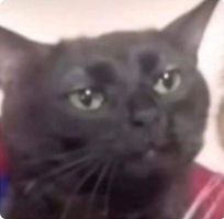 Moises John Villaver