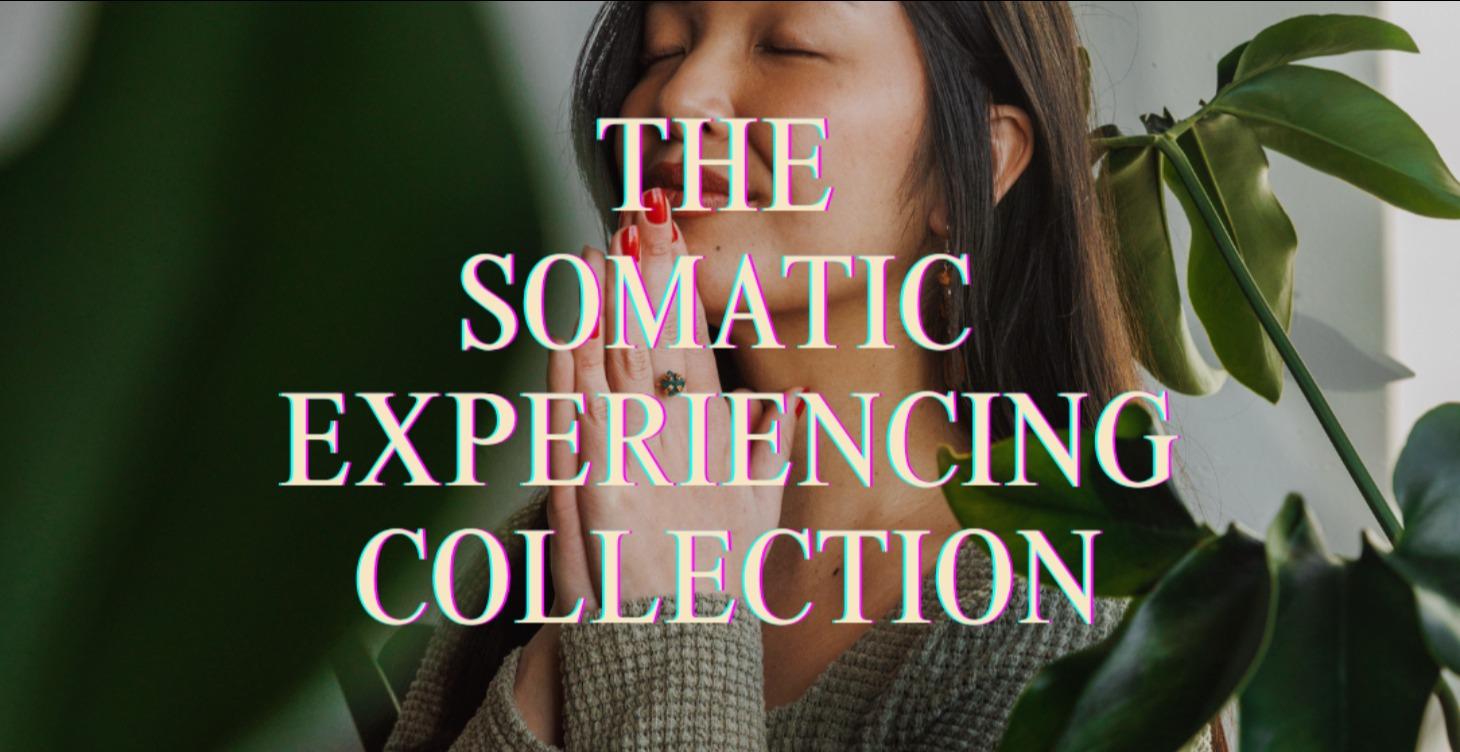 The Somatic Experiencing Collection