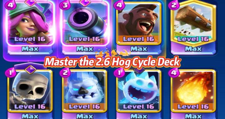 Hog Cycle Academy