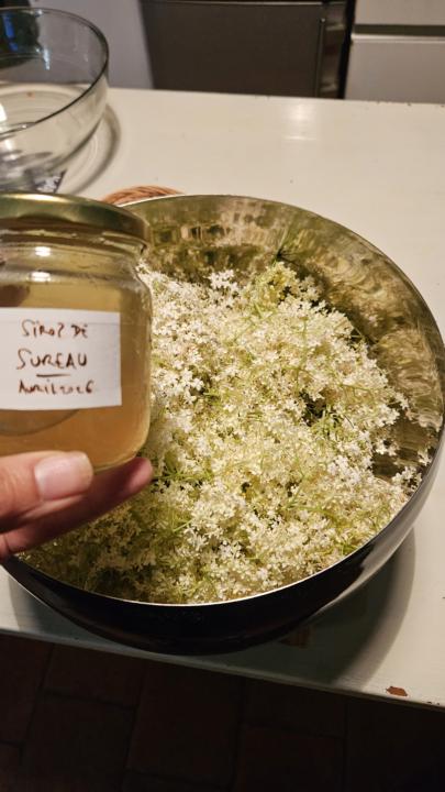 Sirop de Sureau 🌿