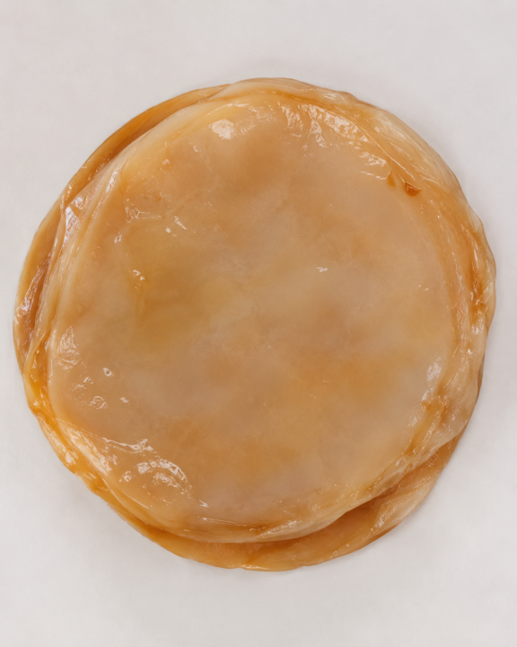 Kombucha