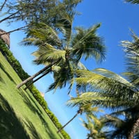 Тунгаа Тунгаа