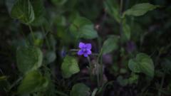 Justin Bolduc-Turpin