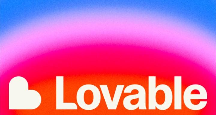 Lovable Vibe Coders