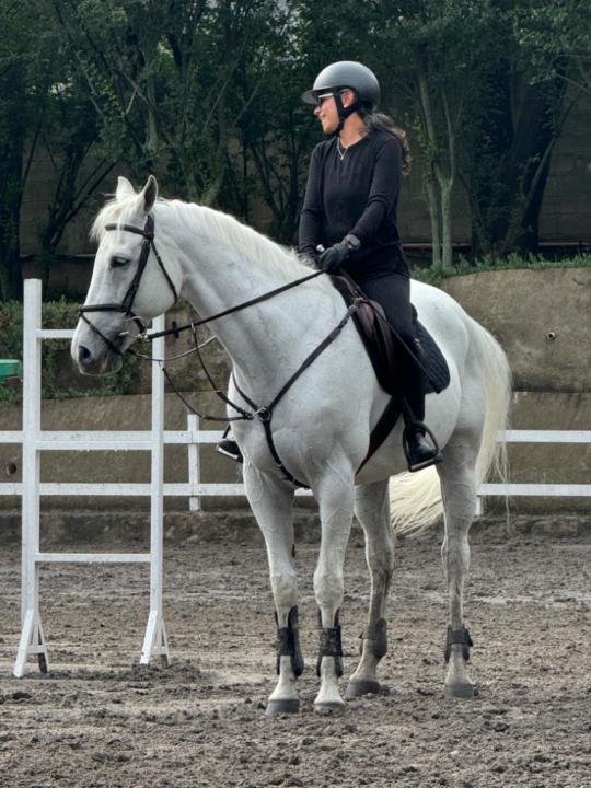 Ana Lilia Arroyo Plata