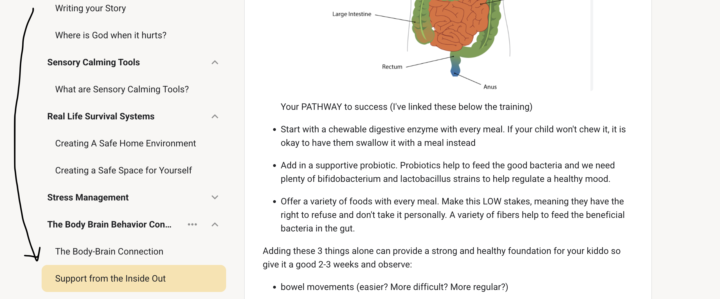 Kids Gut Health Protocol