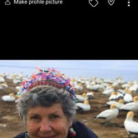 Mary Wyley