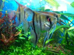 Eduardo García Cachinero