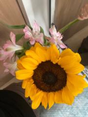 Valentina Hitschfeld