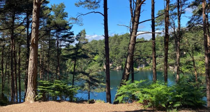 Spirituality and life coach