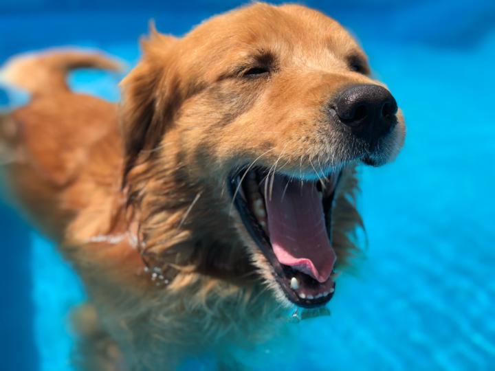 Aldana Rodriguez arotce