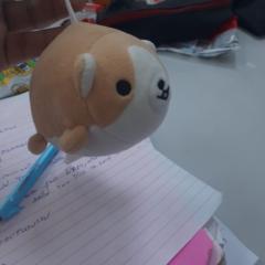 Sebastián Ramírez Román