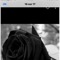 Estevao Morena Fabienne