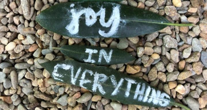 The Joy Pathway