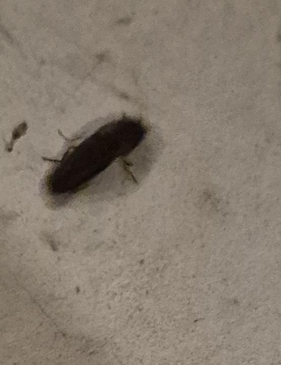 🔮 “The Night Something Clicked