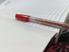 Ananya Bhattacharjee