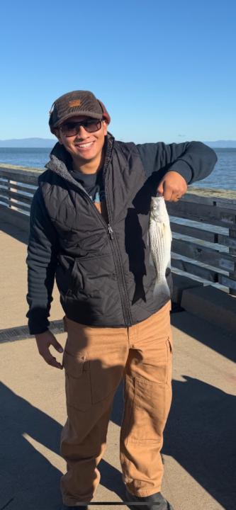 Hirim Castro-Lavenant