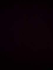 Alex Delgado Fernandez