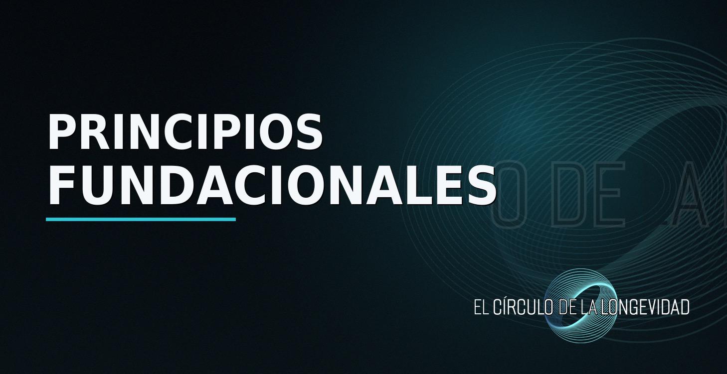 Principios fundacionales