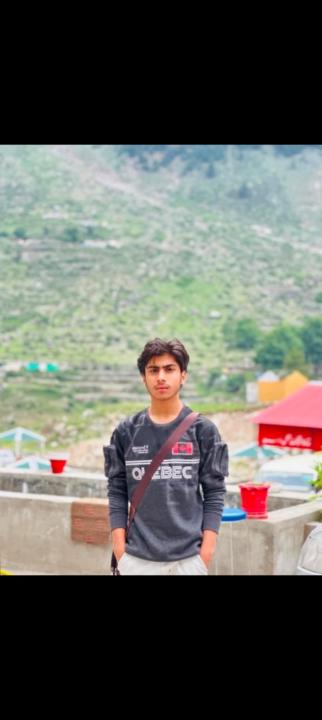 Ali Faisal