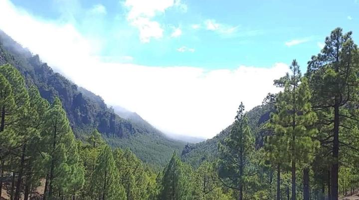 Idaira Cabrejas davila