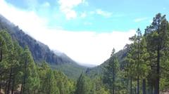 Idaira Cabrejas davila