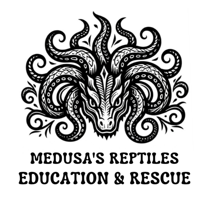 Living Strong Community Introduction: Meet Amanda Antonini