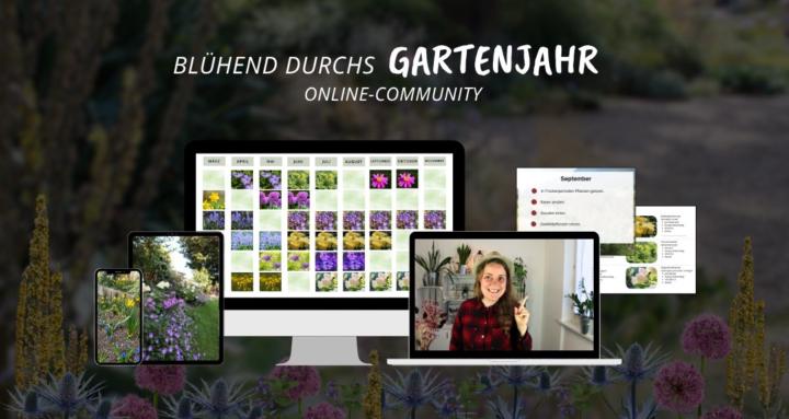 Blühend durchs Gartenjahr